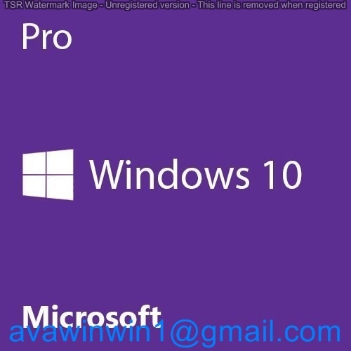 KASTEN 2 Englisch-Microsoft Windowss 10 Prokleinbit GBs RAM 64 1 GigahertzKennziffer 03307 fournisseur